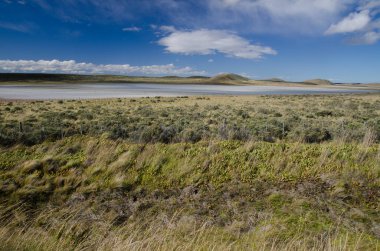 Şili 'nin Patagonya ve Şili Antarktika Bölgesi' nde göl.