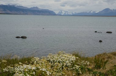 Puerto Natales 'ten Ultima Esperanza Körfezi' nde deniz manzarası.
