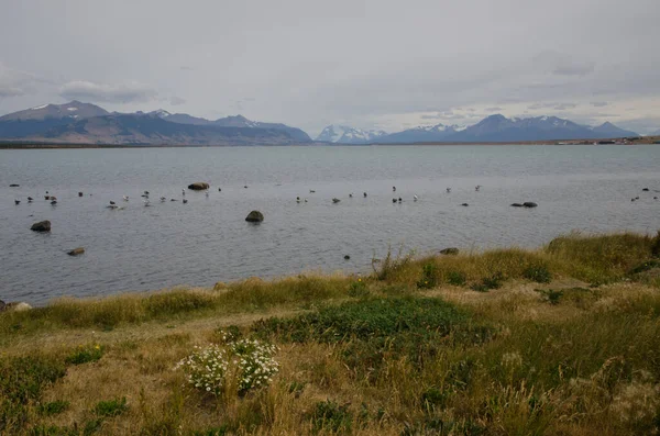 Tengerfenék az Ultima Esperanza öbölben Puerto Natales-ból. — Stock Fotó