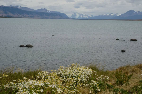 Tengerfenék az Ultima Esperanza öbölben Puerto Natales-ból. — Stock Fotó