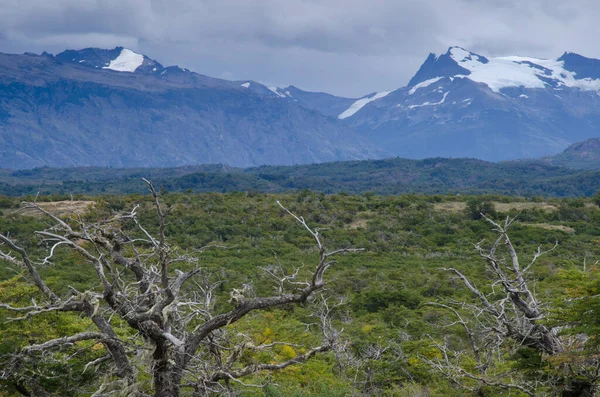 Scrubland és hegyek a chilei Patagóniában. — Stock Fotó