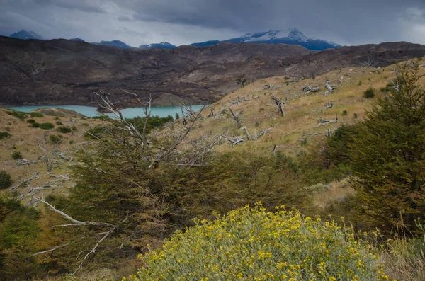 Tájkép a Torres del Paine Nemzeti Parkban, föld égett a háttérben a 2011-2012-es nagy tűzvészben. — Stock Fotó