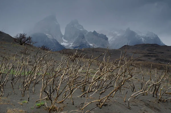 Paine Horns és égett föld a Torres del Paine Nemzeti Park a nagy tűz 2011-2012. — Stock Fotó