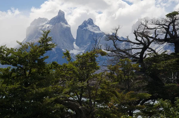 Paine Horns v národním parku Torres del Paine. — Stock fotografie