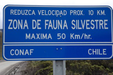 Arica y Parinacota bölgesinde vahşi yaşam sinyali.