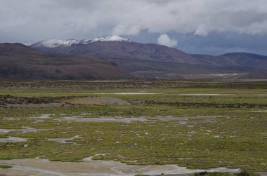 Lauca Ulusal Parkı 'ndaki Cotacotani Gölleri.