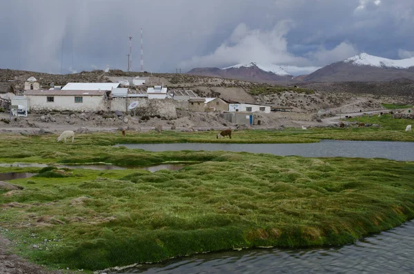 Parinacota falu a Lauca Nemzeti Parkban. — Stock Fotó