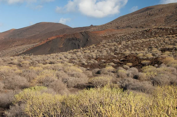 Scrubland e colinas em Frontera Rural Park . — Fotografia de Stock