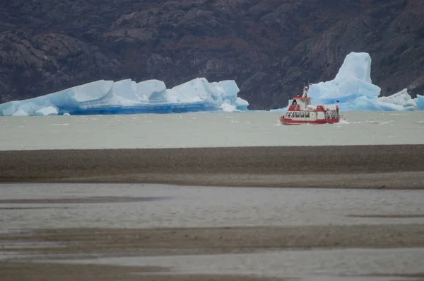 Barco turístico y témpanos en Grey Lake . — Foto de Stock