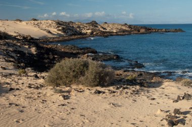Corralejo Doğal Parkı 'ndaki Corralejo kumulları.
