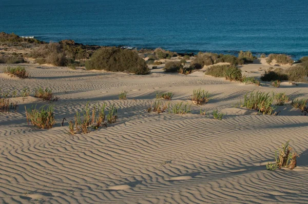 Dunes de Corralejo dans le parc naturel de Corralejo . — Photo