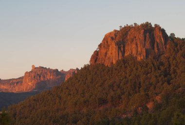 Arka planda Morro de Pajonales ve Roque Nublo.