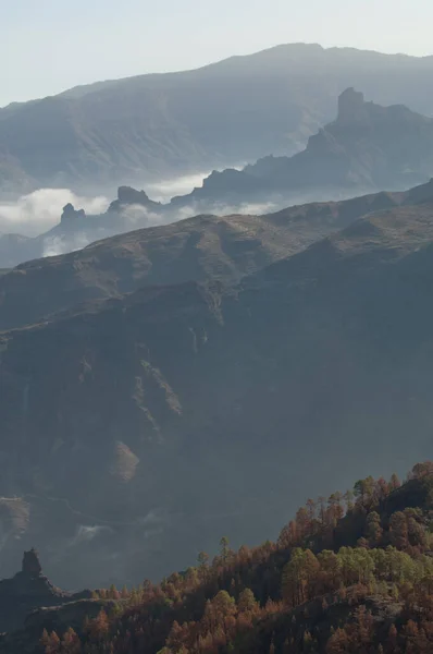 Nublo Kırsal Parkı 'nda Roque Bentaiga. — Stok fotoğraf