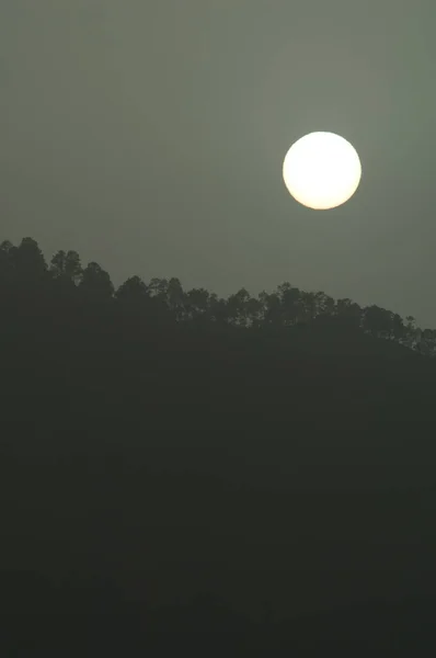 カナリア島の森の太陽は、大気中の塵と日没時にピヌス・カナリエンシスを松. — ストック写真