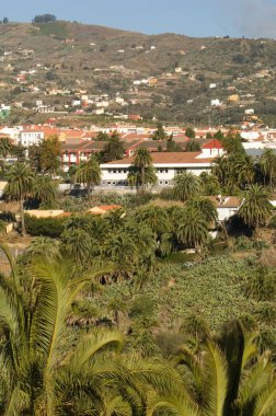 Gran Canaria 'daki Santa Brigida Kasabası.