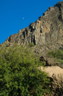 Uçurumun tepesinde ay ve ön planda erik ağacı..