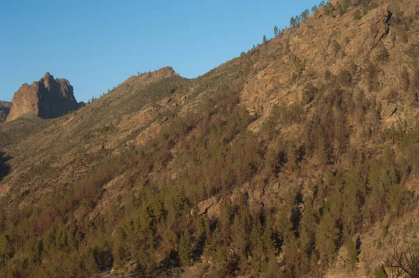뒤에 보이는 주 칼 협곡 과 리스코 치 리미 케의 비탈. — 스톡 사진