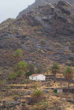 Nublo Kırsal Parkı 'ndaki Aldea vadisinde ıssız bir ev..