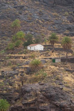 Nublo Kırsal Parkı 'ndaki Aldea vadisinde ıssız bir ev..