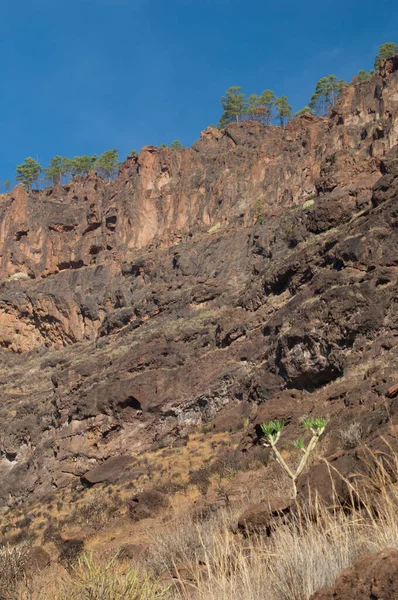 Cliff no Parque Rural Nublo em Mogan. — Fotografia de Stock