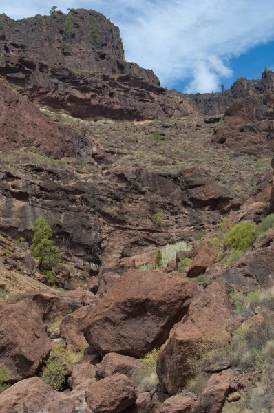 Nublo Kırsal Parkı 'ndaki Cliff, Mogan. — Stok fotoğraf