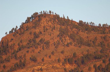 Integral Doğal Entegrasyon Rezervindeki Dağ.