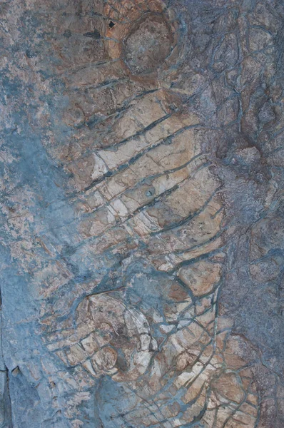 Naturalne ślady na skale, Integralny Rezerwat Naturalny Inagua. — Zdjęcie stockowe
