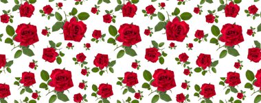  yeşil yaprakları bir sap üzerinde kırmızı model gül