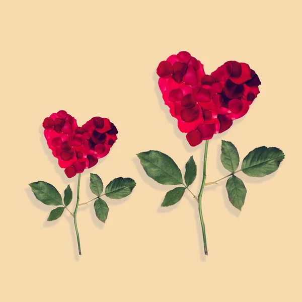 Zwei Rosenherzen — Stockfoto