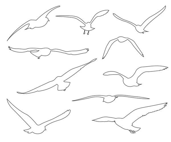 在白色背景上的海鸥矢量路径设置 — 图库矢量图片
