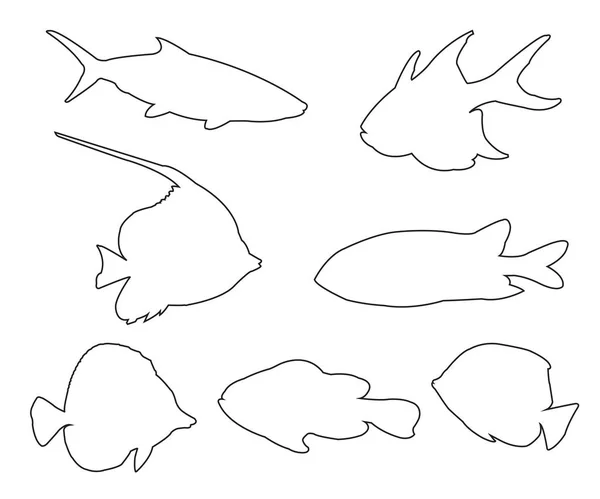 鱼在白色的背景设置的路径 — 图库矢量图片