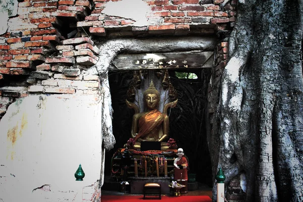 Onzichtbare Thailand, ruïnes van de oude tempel met een Bodhi tree root — Stockfoto