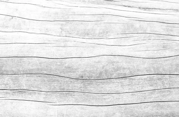 Vit, grå trä textur. bakgrund — Stockfoto
