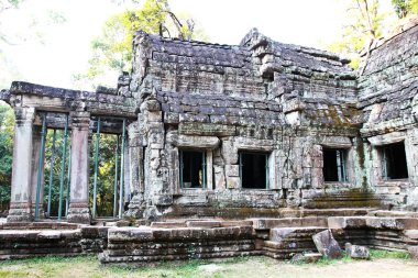 Ta Prohm Tapınağı Angkor, Siem Reap, Kamboçya