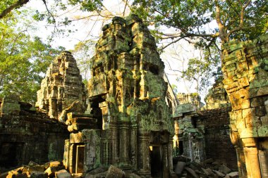 Ta Prohm Tapınağı Angkor, Siem Reap, Kamboçya