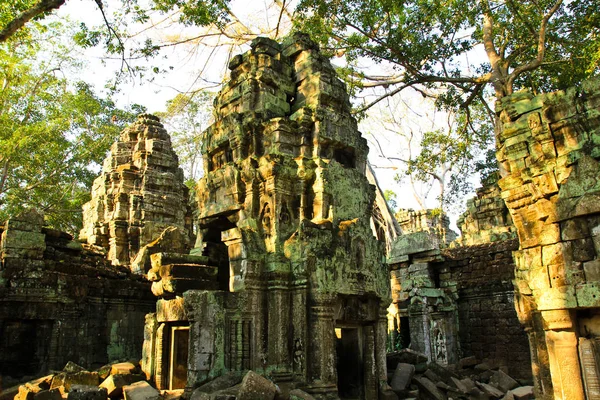 Ta Prohm Tapınağı Angkor, Siem Reap, Kamboçya — Stok fotoğraf