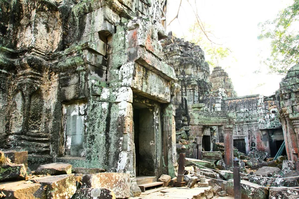 Ta Prohm Tapınağı Angkor, Siem Reap, Kamboçya