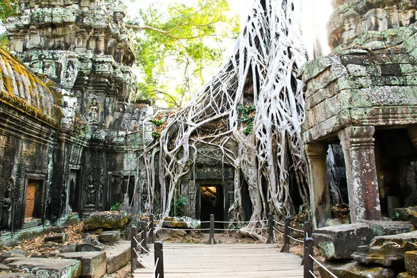 Templo Ta Prohm en Angkor, Siem Reap, Camboya — Foto de Stock