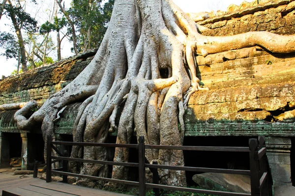 Templo Ta Prohm en Angkor, Siem Reap, Camboya — Foto de Stock