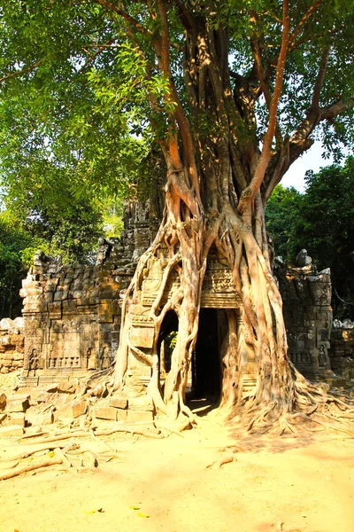Tempio di Ta Som, Angkor, Cambogia — Foto Stock