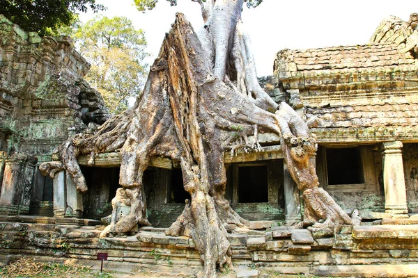 Templo Preah Khan, Angkor, Siem Reap, Camboya . — Foto de Stock