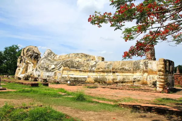 Giant Buddha-statyn i den historiska parken Ayutthaya — Stockfoto