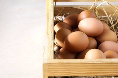 ahşap kutu içinde yumurta.