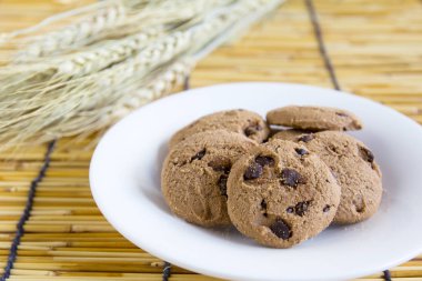 çikolatalı kurabiye beyaz plaka üzerinde