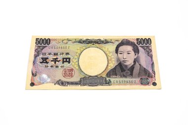 5000 Japon yen faturaları