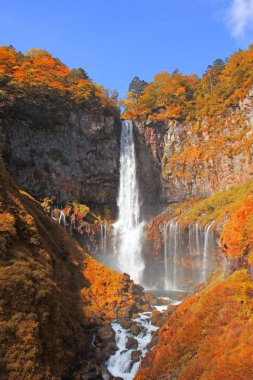 Kegon Falls Sonbahar sezonu, Nikko, Japonya.