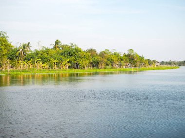 Bu çene nehirde: Nakhon Pathom, Thailand.