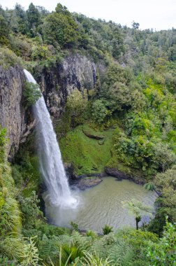 Waikato, Yeni Zelanda 'da Gelin Şelalesi