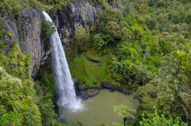 Waikato, Yeni Zelanda 'da Gelin Şelalesi