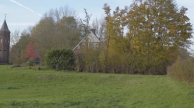 Yeşil çayırlarda otlayan güzel siyah atın manzaralı görüntüleri.